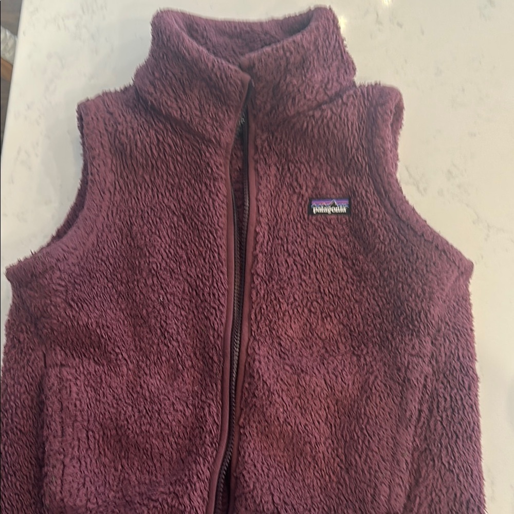 Patagonia Maroon Fleece Vest